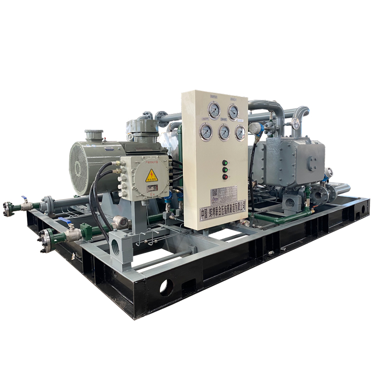 尾氣壓縮機(jī)_DW-4.4/0.1-2